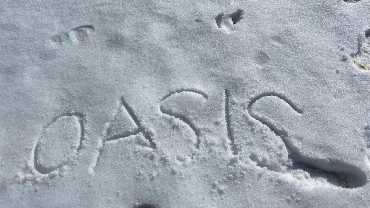 Oasis Guest House Bhagsu D'Shala 다람샬라 외부 사진