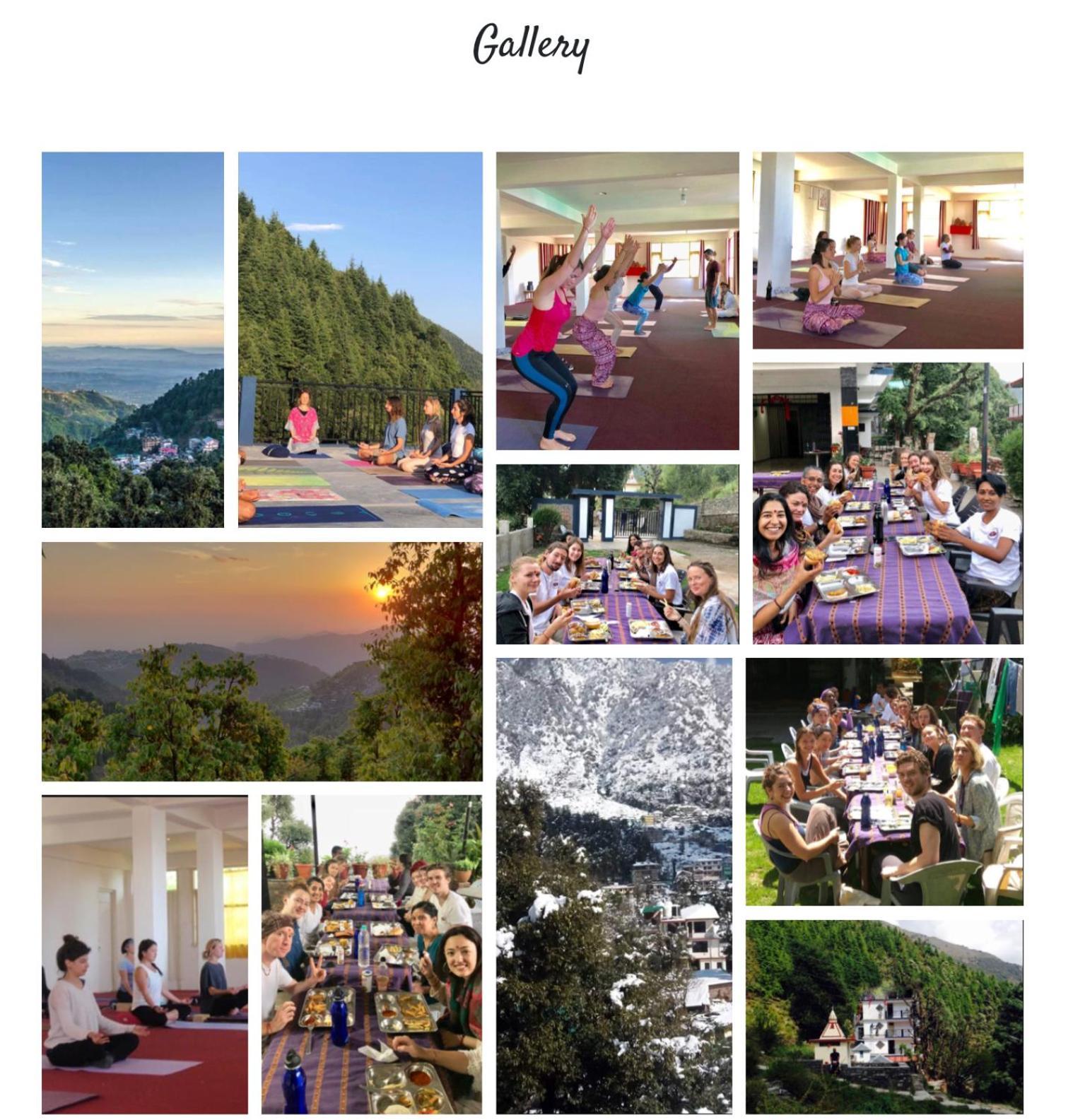 Oasis Guest House Bhagsu D'Shala 다람샬라 외부 사진