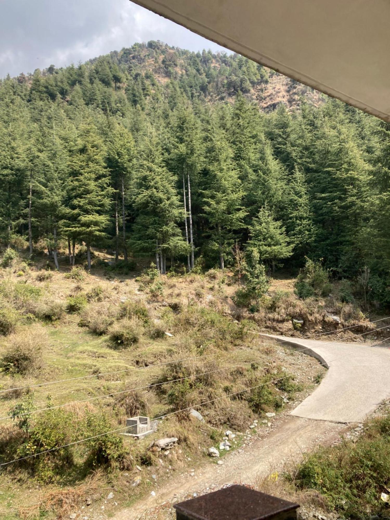 Oasis Guest House Bhagsu D'Shala 다람샬라 외부 사진